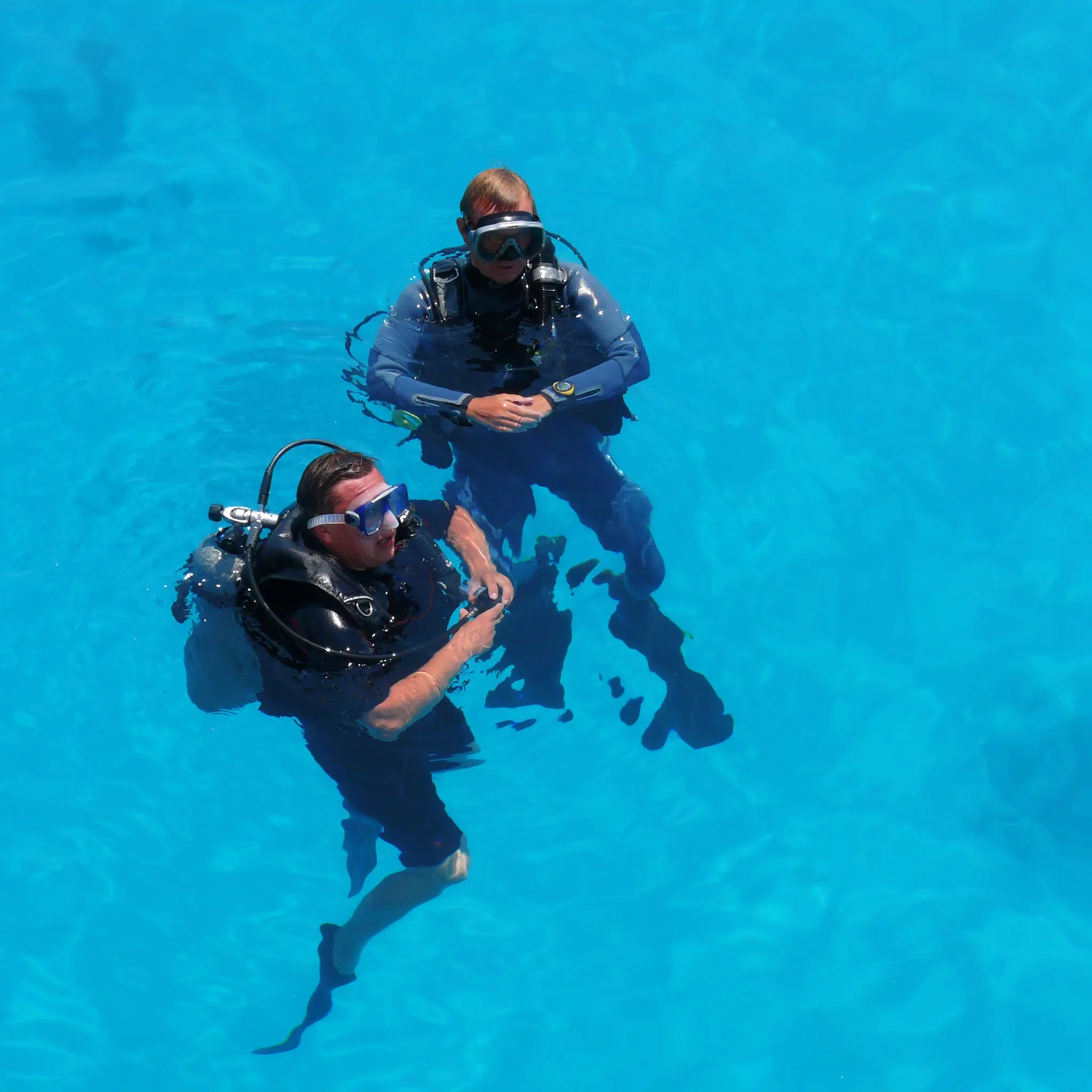 Why Our Training Programs